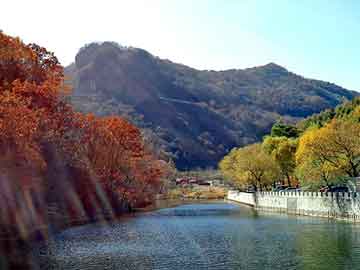 新澳天天开奖资料大全旅游团，美国站群